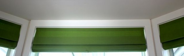 Kelly Green Roman Shades