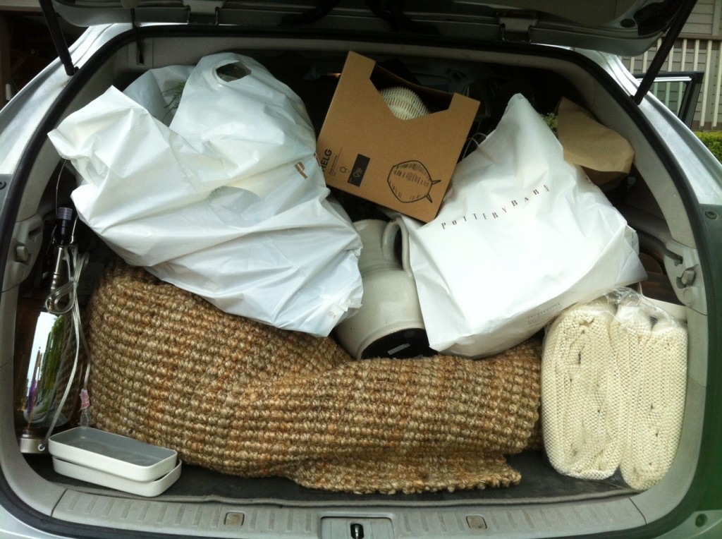 Shopping Day