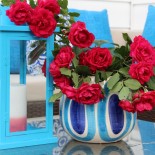 Happy Outdoor Living: Before & After