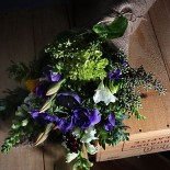Purple flowers