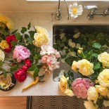 rosescountertop