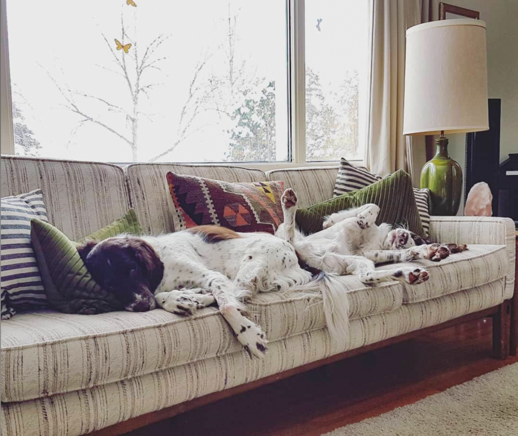 Tricia S Living Room Refresh Before And After The Best Sofa